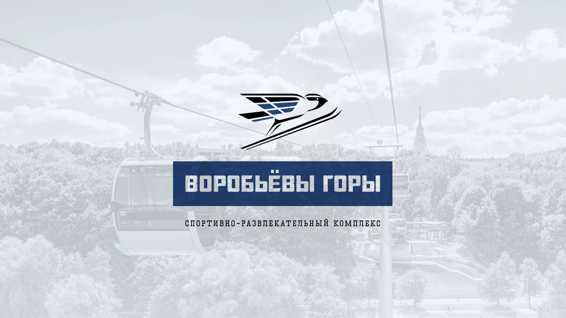 Разработка сайта в Дедовске для спортивно-развлекательного комплекса «Воробьёвы горы»