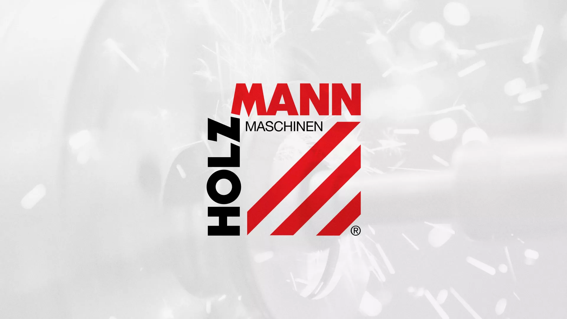 Создание сайта компании «HOLZMANN Maschinen GmbH» в Дедовске
